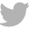 twitter icon